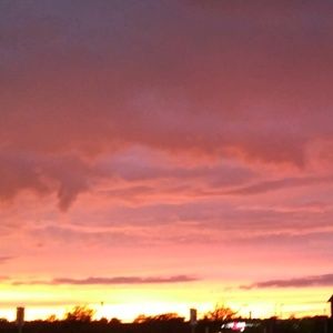 Meet your Posher, Diana